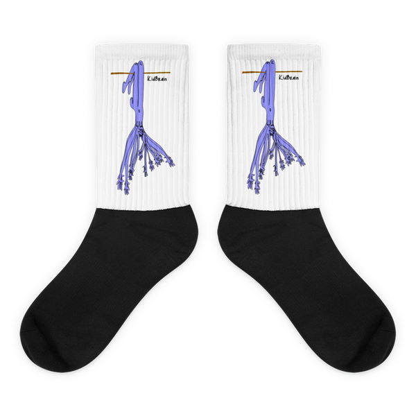 Hangout Socks