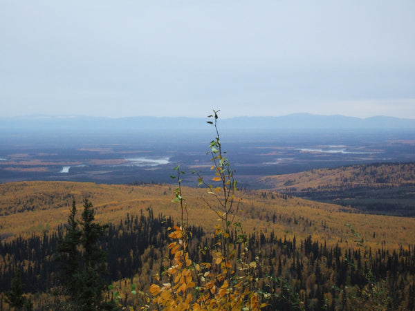 Angel Rocks Trail - Chena River Valley  