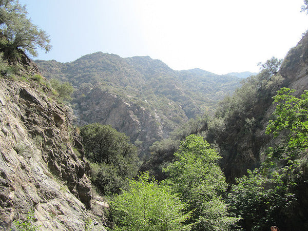 Eaton Canyon