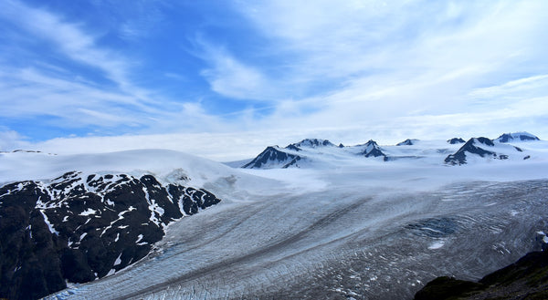 Exit Glacier - Seward