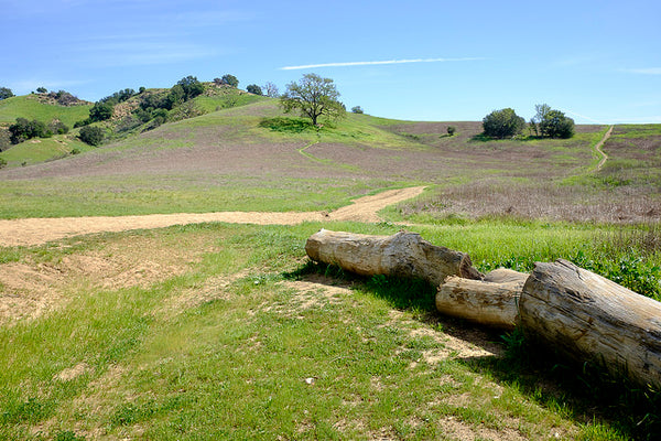 Malibu Creek State Park