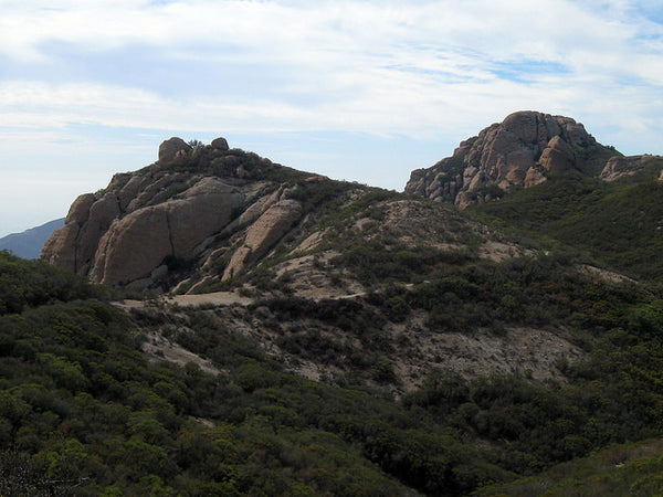 Mishe Mokwa Trail to Sandstone Peak