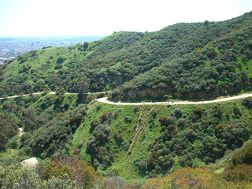 Runyon Canyon