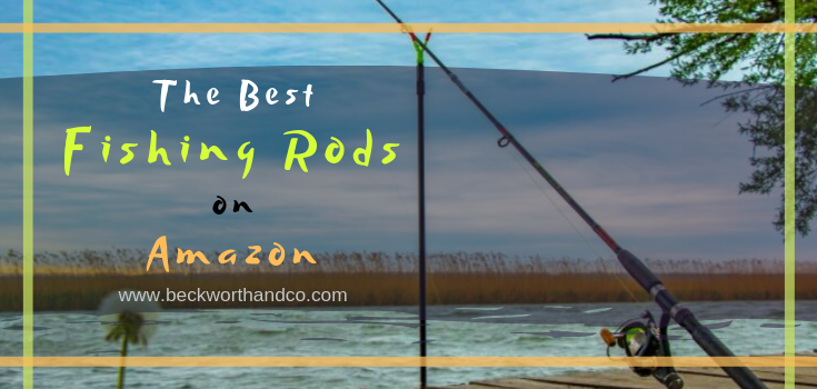 The Best Fishing Rods on