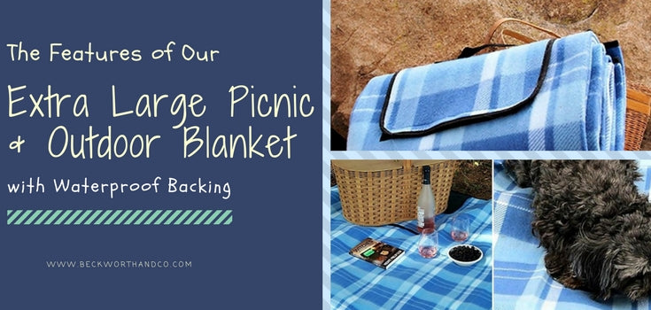 large picnic rug with waterproof backing