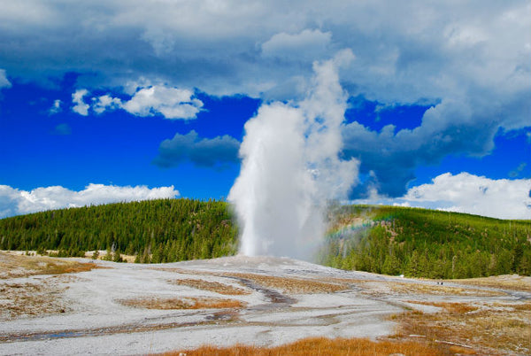 Yellowstone National Park