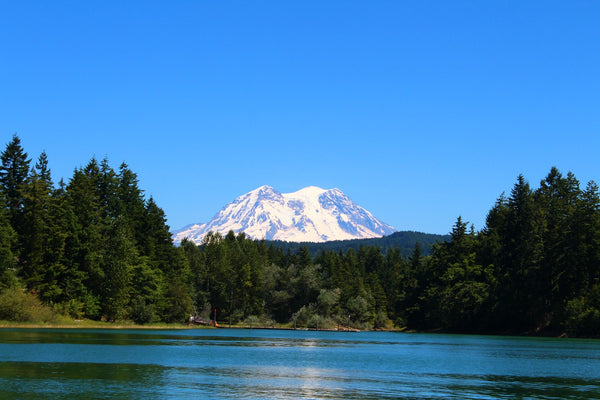 Mt. Rainier Washington