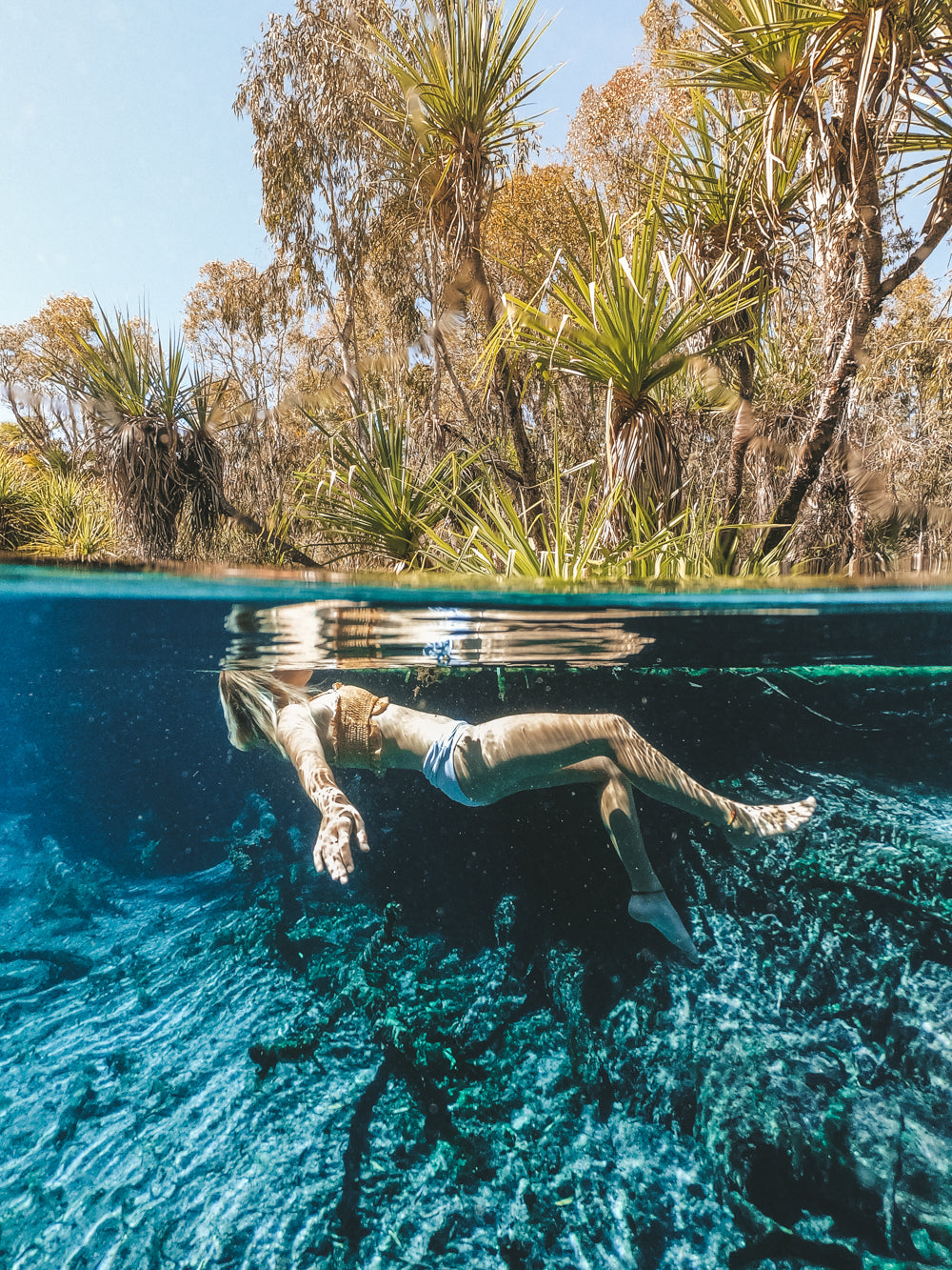 bitter springs, bitter springs, hot spring