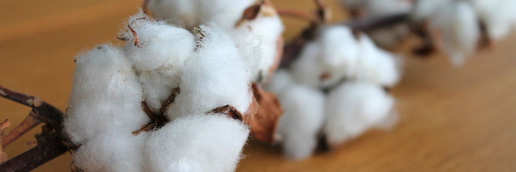 Nobl Cotton