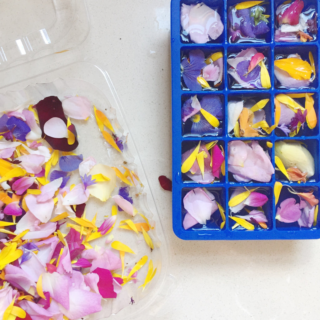 edible flower ice cubes spring party