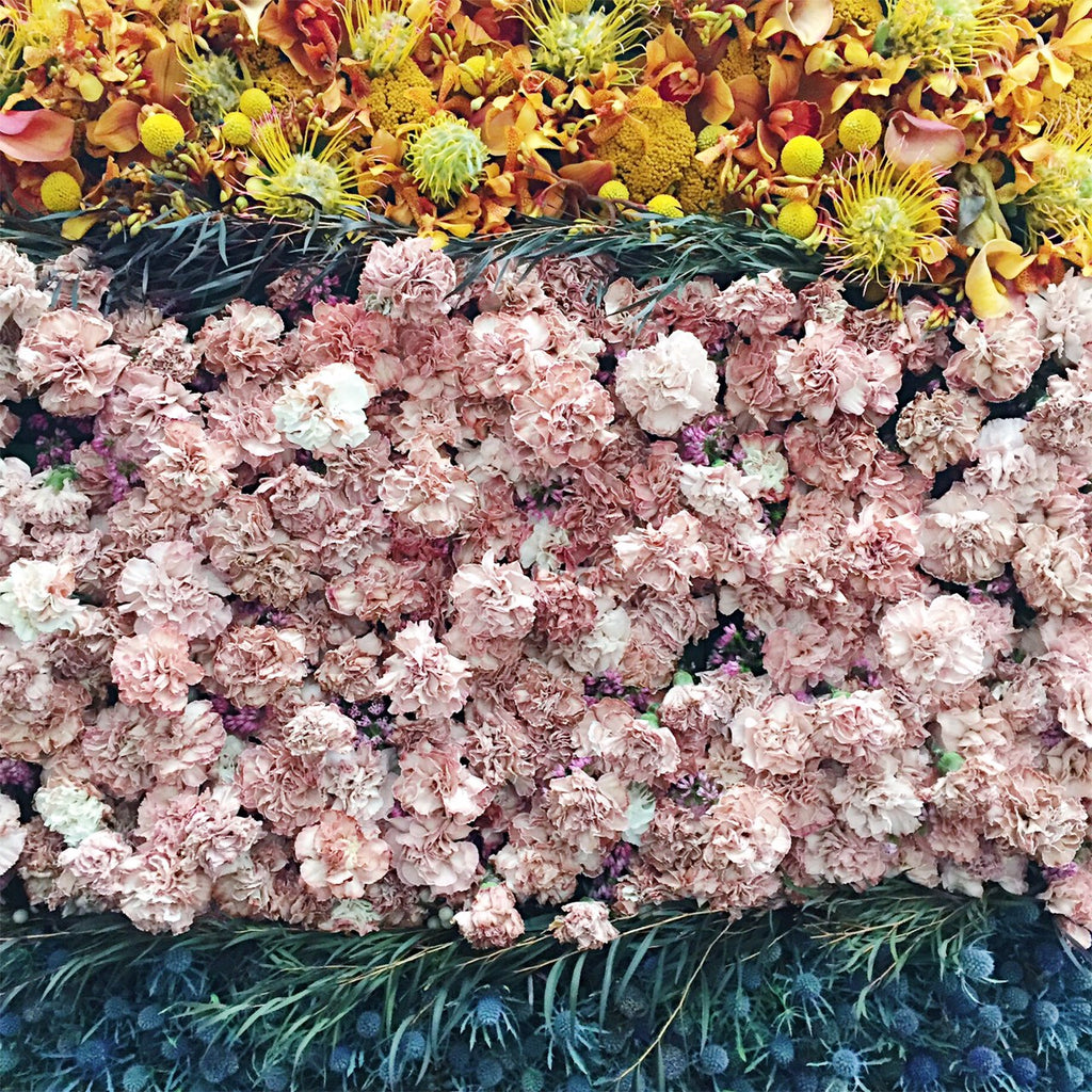 bouquets to art sf 2017 carnation