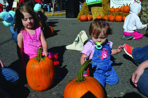 Hayward Fall Festival Pumpkin Decorating Contest - great kids event WI