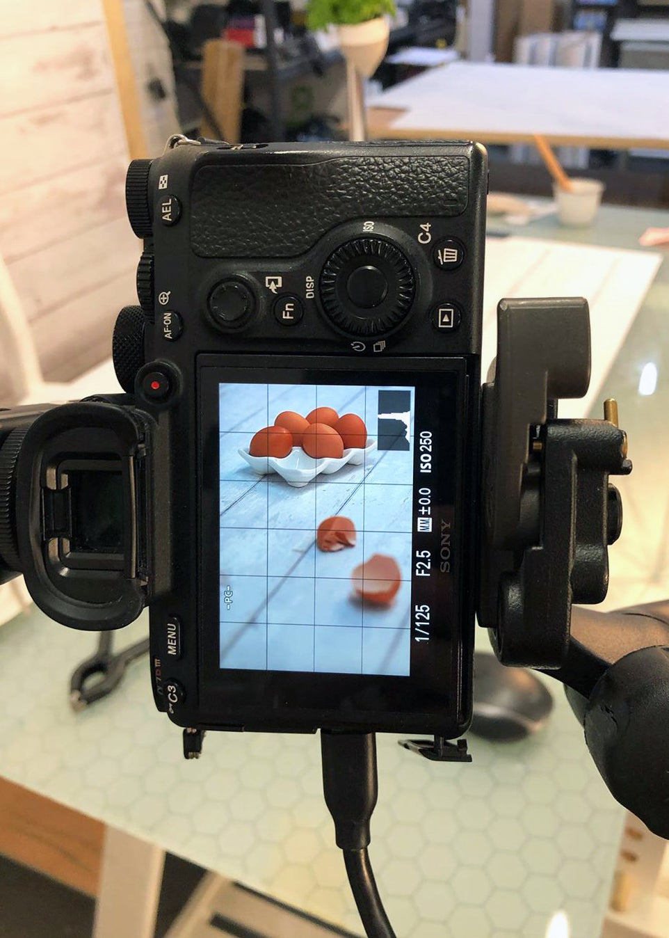 Sony A7RIII with vinyl backdrops for food and product photography