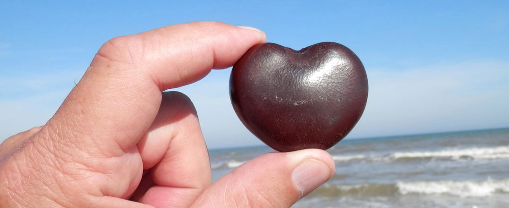 heart shaped sea bean