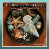 a beachcomber's odyssey