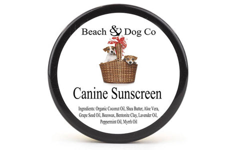 sunscreen for your dog