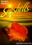 florida's fabulous seashells