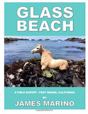 james marino glass beach fort bragg book