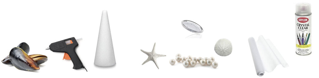 seashell craft supplies
