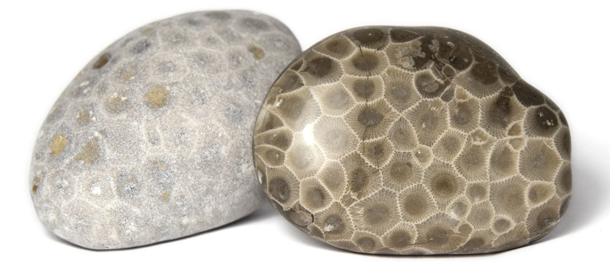 raw and polished petoskey stones