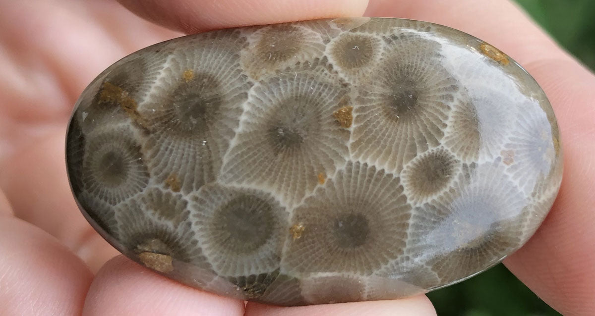 petoskey stone pattern