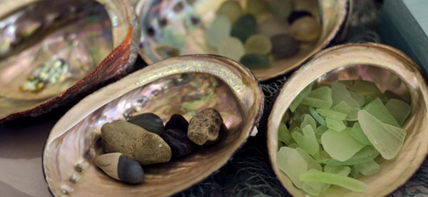 abalone shells filled with sea glass