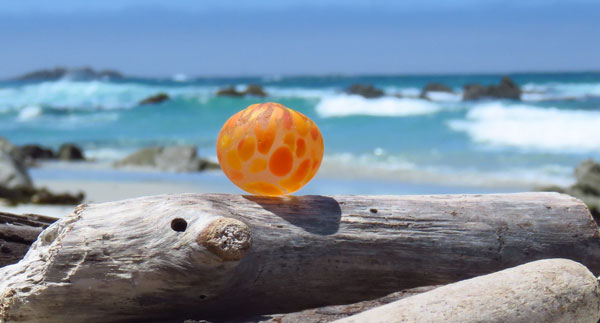 davenport orange sea glass