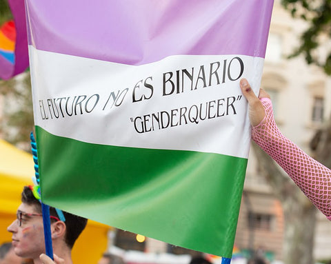 genderqueer flag at pride