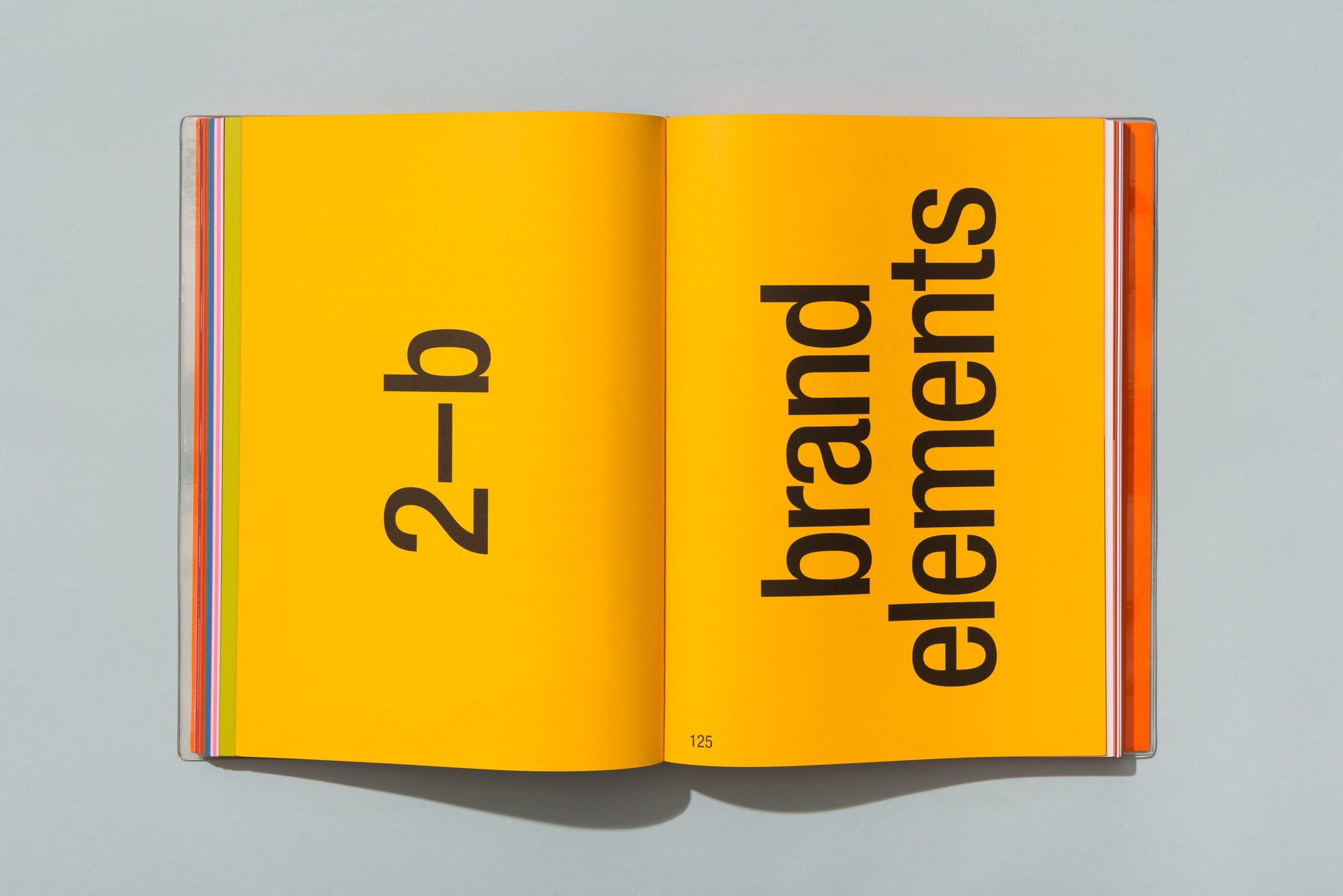 typography book design
