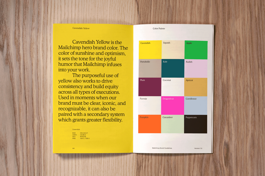 brand guidelines book