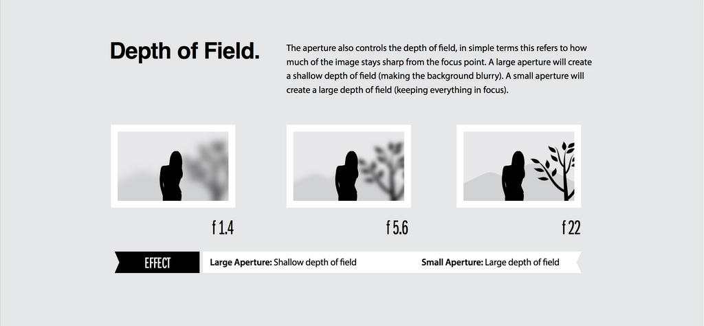 Depth of Field settings