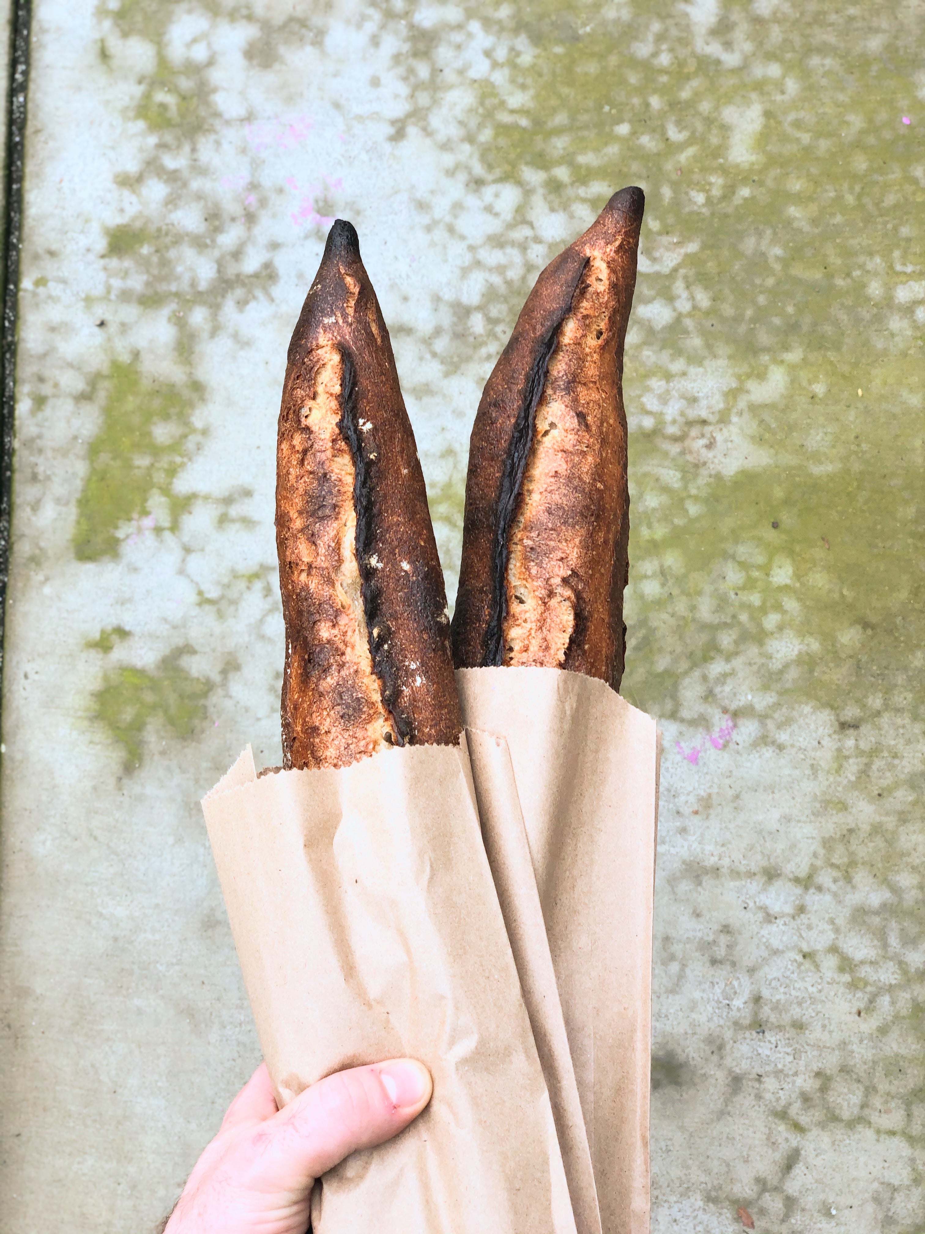 Baguette (Wednesday)