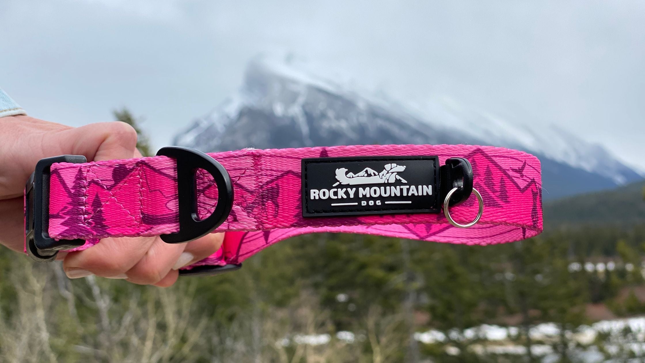 Durable Dog Collars Made for Adventure | Rocky Mountain Dog