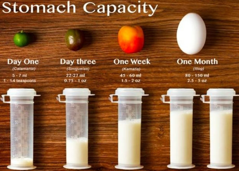 How Much Milk does Baby Need? – Newborn Stomach Capacity by Age – Pumpables