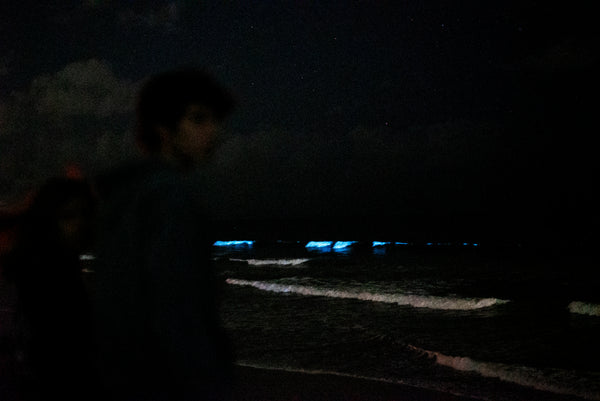 bioluminescent beach san diego by pyrofarms