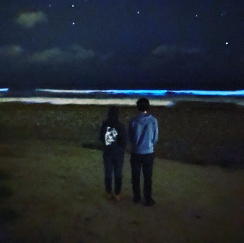 E and E at the bioluminescent beach