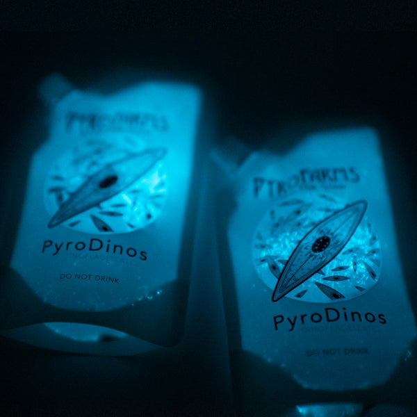 PyroDinos bioluminescent dinoflagellates pyrofarms