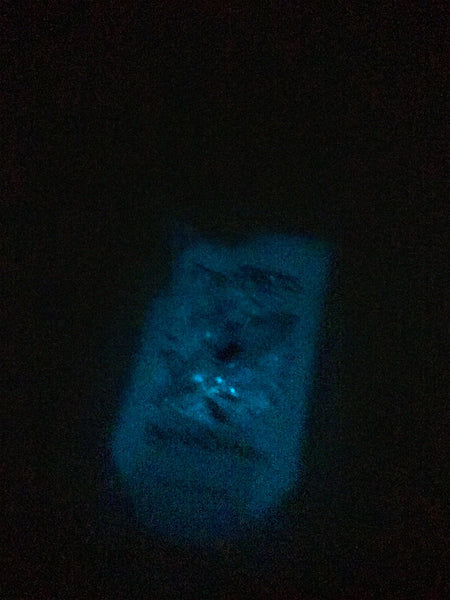 iPhone 7 bioluminescence
