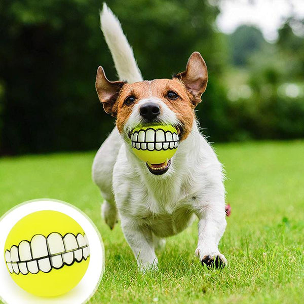 dog ball with teeth