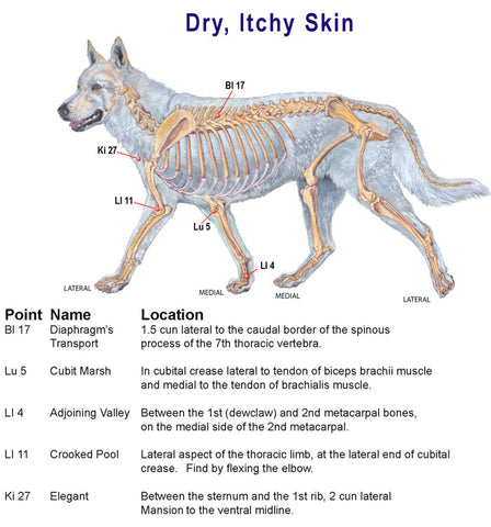 skin allergies and acupressure