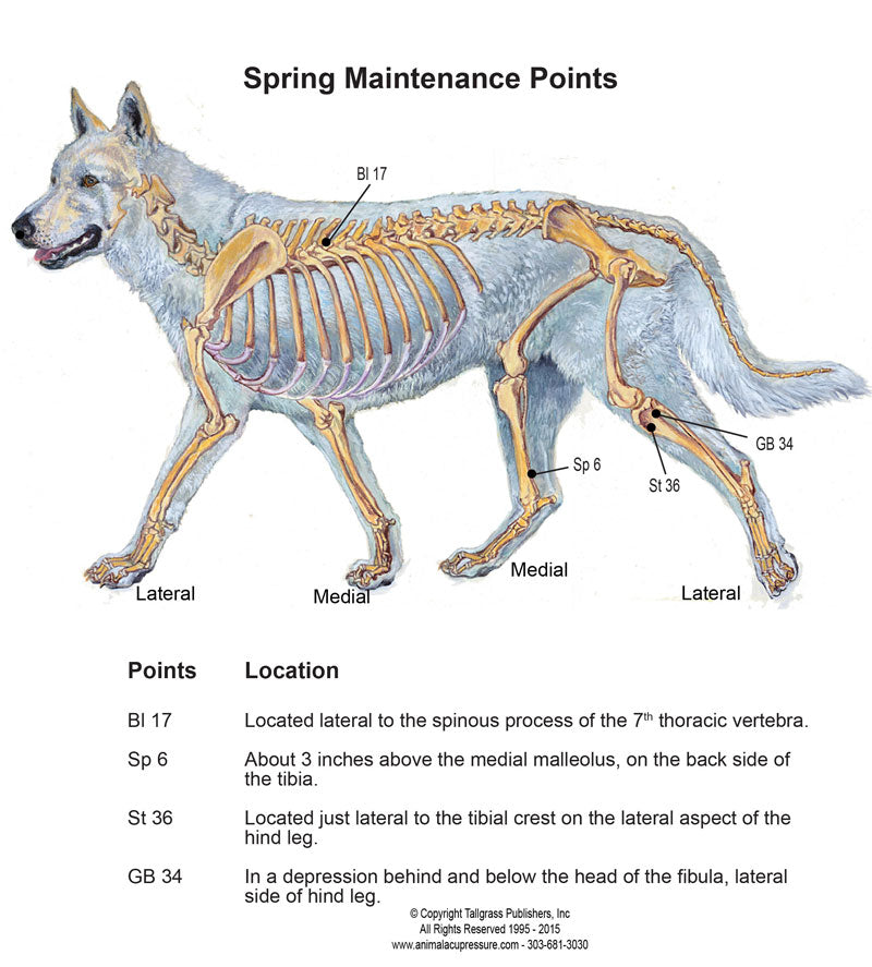 Label - Spring Training and Canine Acupressure