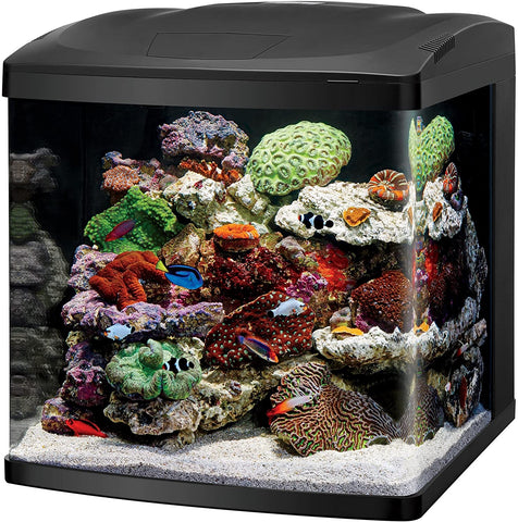 biocube all in one aquarium kit 