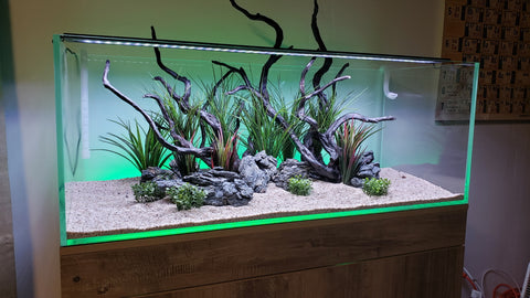 current serene all in one aquarium setup