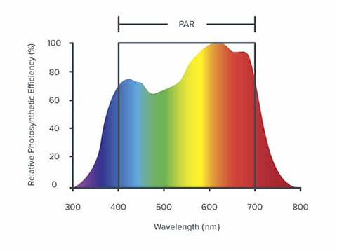 aquarium led light spectrum