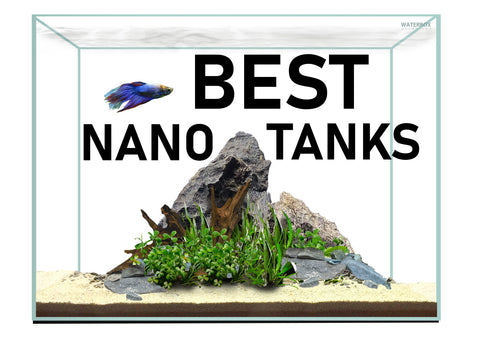 top 5 best nano rimless tanks 