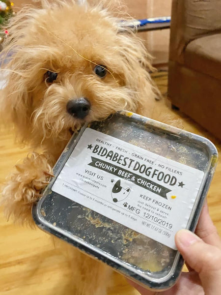 Dog chewing on BidaBest Dog Food.