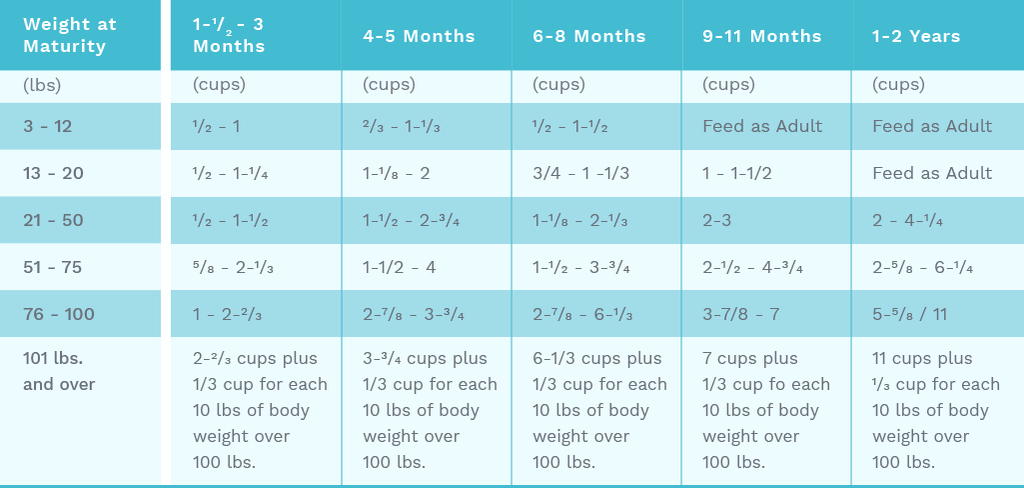 Puppy Feeding Chart.