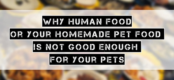 Why human food and homemade pet food is bad for your pets