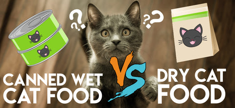 Canned wet cat food vs dry cat food.