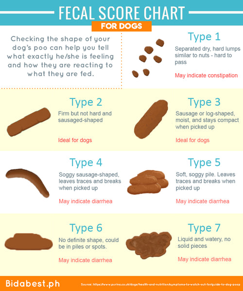 Fecal score chart for dogs.
